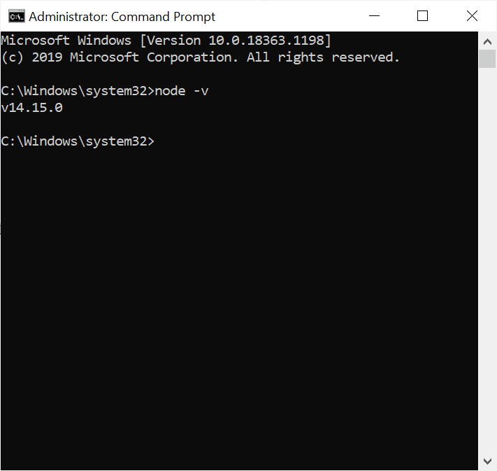 Check Node.js Version